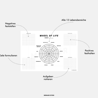 Wheel of Life Lebensrad PDF Vorlage Muster PDF Download Vordruck Muster