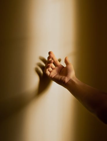 8 Lebensbereiche Bereiche des Lebens