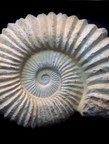 Fibonacci Story Points
